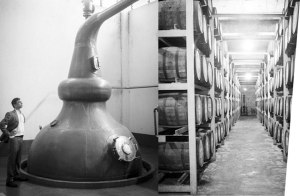 Paul John Distillery